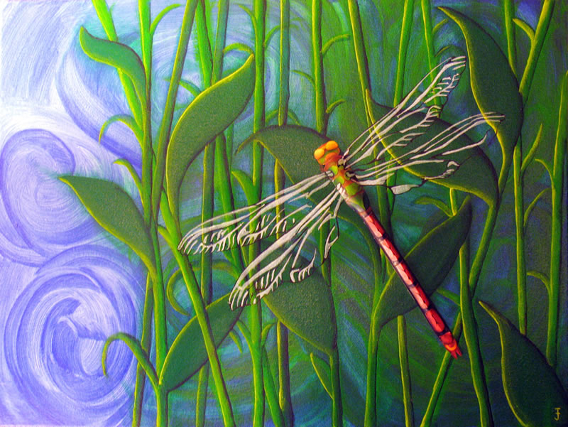 Dragonfly by Tara Jacobs